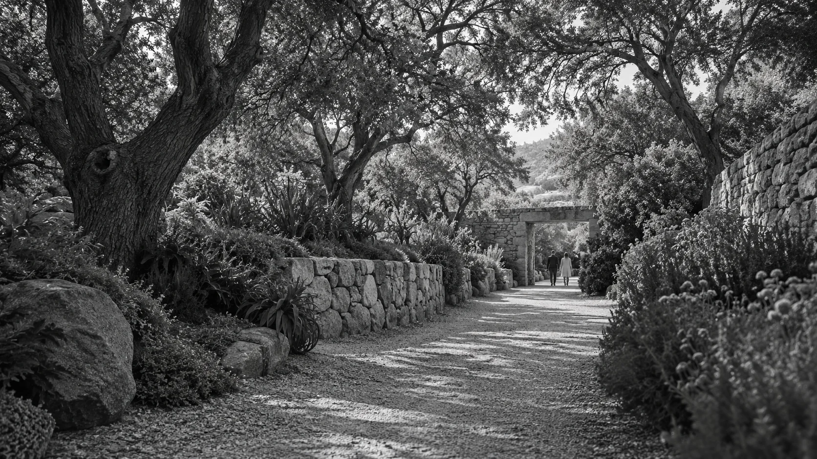A quiet garden passage beneath mature trees and stone walls